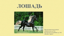 Презентация для дошкольников Лошадь