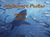 Презентация Надкласс Рыбы. Ребус-опрос Биология, 7 класс