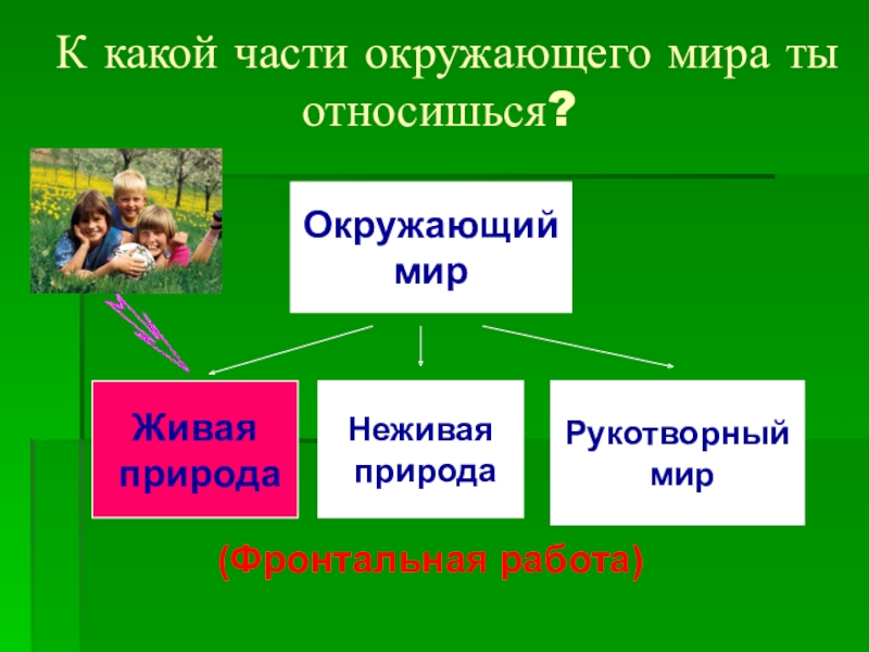 Природе нужны все презентация 1 класс окружающий мир 21 век презентация