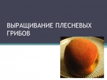 Презентация ВЫРАЩИВАНИЕ ПЛЕСНЕВЫХ ГРИБОВ