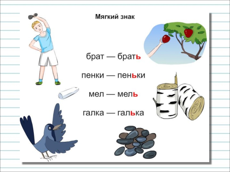 Правописание мягкого знака в конце и середине слова перед другими согласными 2 класс презентация