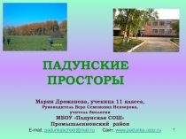 Падунские просторы презентация-отчёт экскурсии