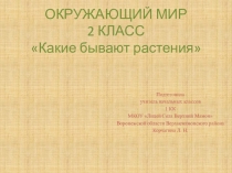 Презентация к уроку окружающего мира Какие бывают растения