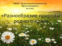 Презентация по окружающему миру Разнообразие природы родного края