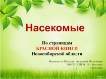 Презентация по биологии Насекомые. По страницам красной книги Новосибирской области 5 класс