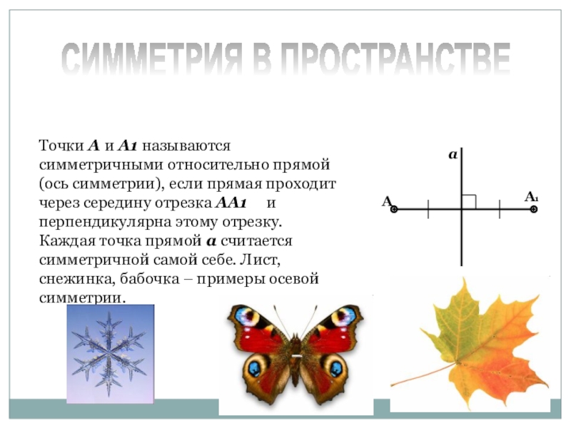 Симметрия относительно прямой 6 класс рисунки