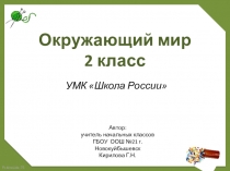 Презентация по окружающему миру на тему Домашние опасности (2 класс)