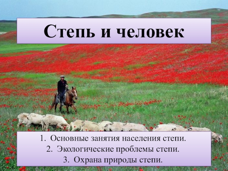 Богатства степей. Степи и человек. Занятия населения в степи. Охрана природы в степи. Основные занятия жителей степей.