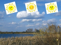 Презентация по русскому языку на тему Роль глагола в предложении 4 класс