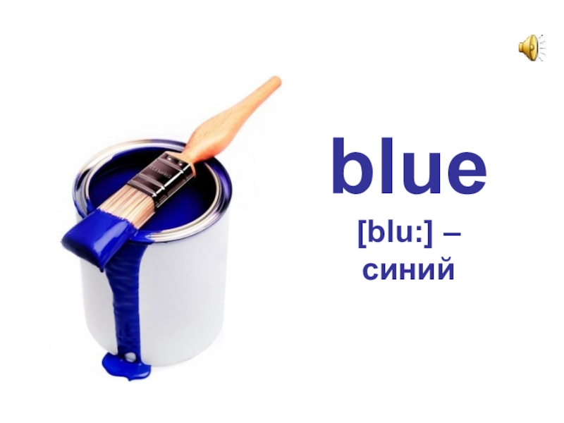 English blue