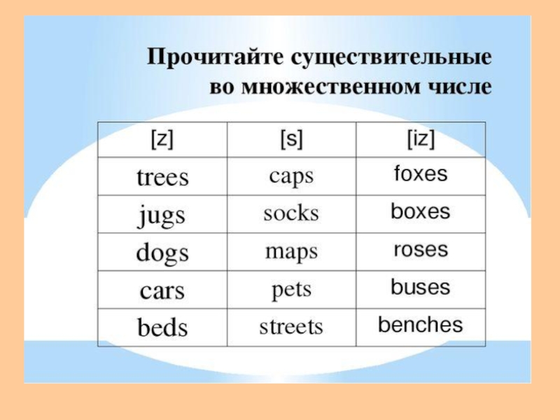 Множественное число 2 класс английский язык презентация