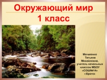 Презентация по окружающему миру 1 класс по теме Кто такие звери?