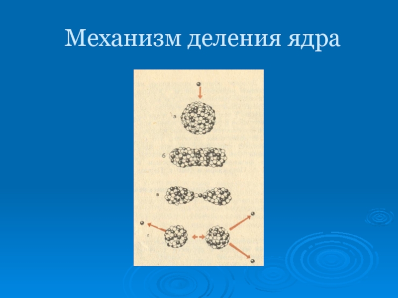 На каком рисунке изображена цепная реакция деления ядер