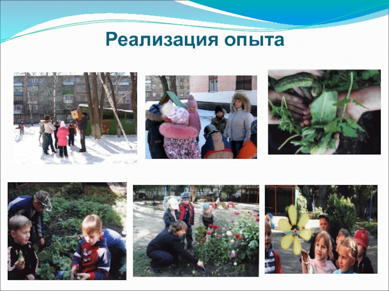 Реализация опыта. Опыт реализации проекта. Реализация опыта. Опыт реализации проекта от и до. Реализация опыта.