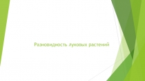 Презентация по окружающему миру рАЗНОВИДНОСТЬ ЛУКОВЫХ РАСТЕНИЙ