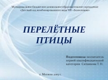 перелетные птицы