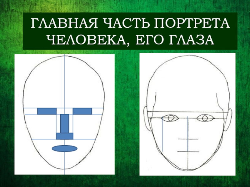 Изображение головы человека в пространстве 6 класс конспект урока