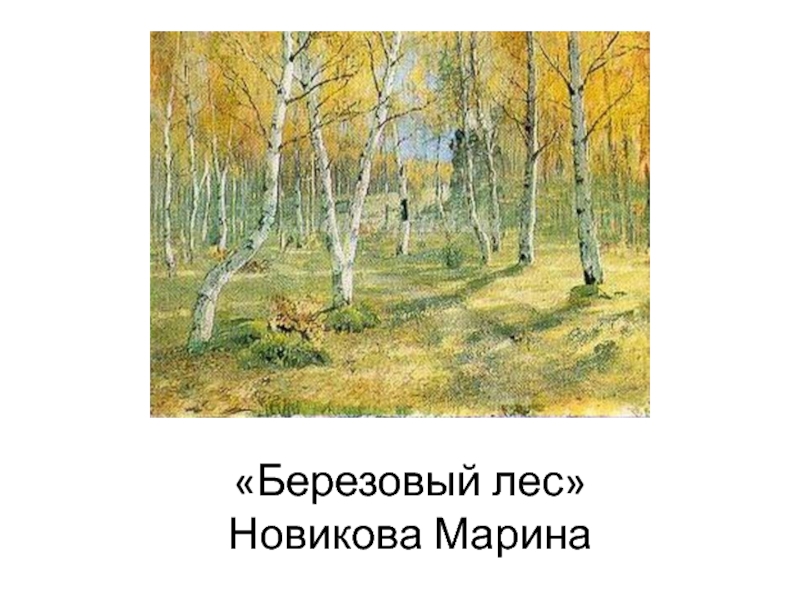 Почему лес называют защитником воздуха водоемов. Мокрый берёзовый лес текст. Пульку навсегда березовый лес не видел.....