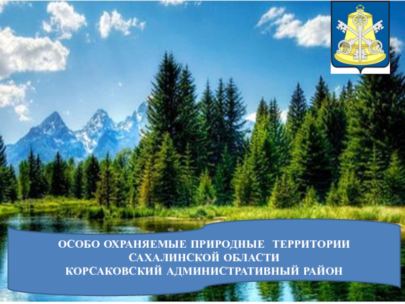 Презентация особо охраняемые природные территории амурской области