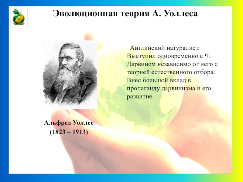 Теория открытия. Альфред Уоллес эволюционная теория. Английский натуралист Альфред Уоллес. Альфред Уоллес вклад в биологию. Теория Дарвина и Уоллеса.