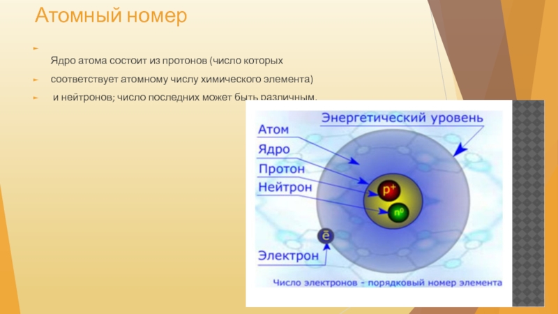 Строение атома атомный номер химического элемента. Строение ядра атома. Атомные номера. Атомный номер ядра. Как определить атомный номер.