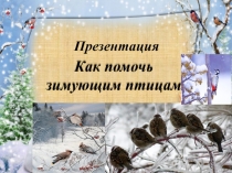 Презентация к беседе в группе продленного дня Как помочь зимующим птицам (1-2 класс)
