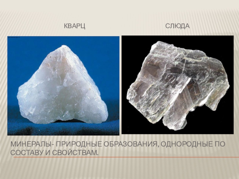 Слюда это минерал или горная. Горная порода кварц со слюдой. Камень кварц и слюда. Кварц со слюдой. Слюда класс минерала.