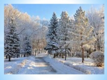 Презентация по математикена тему:Письменное сложение и вычитание236+687,923-23,и 286+617,903-286