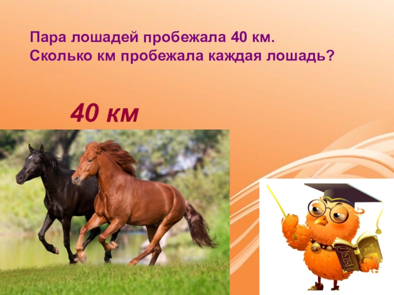 Сколько лошадке лет. Пара лошадей пробежала. Стих пара лошадей. Пара лошадей пробежала 40 км сколько пробежала каждая лошадь. Ой, лошадка пробежала.