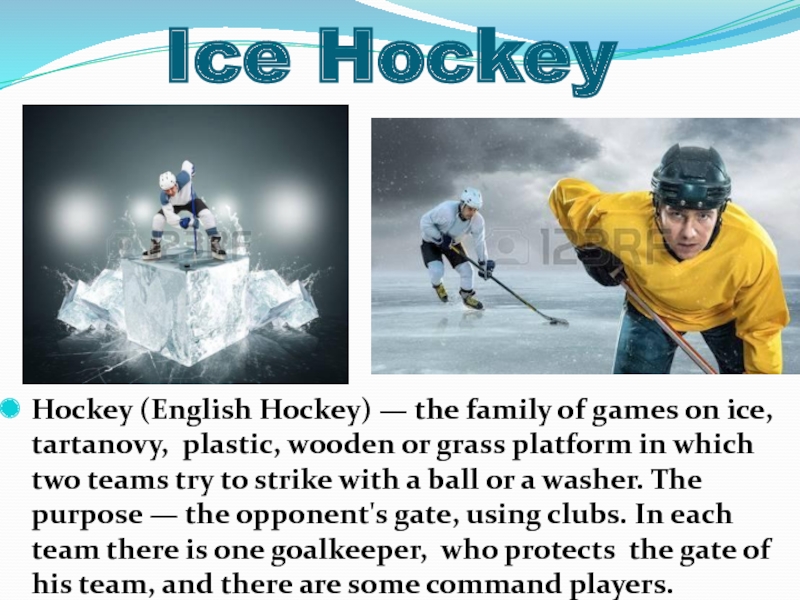 Про хоккей на английском. Хоккей на английском языке. Проект по английскому языку про хоккей. Hockey по английскому проект. Правила хоккея на английском.