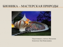 Использование элементов бионики на уроках биологии