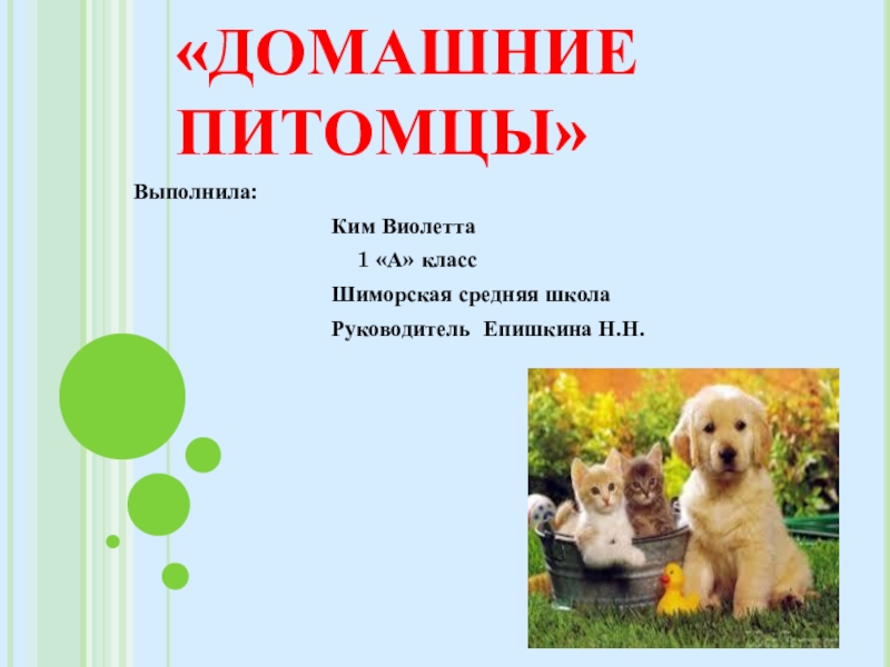 Презентация Презентация по окружающему миру на тему Домашние любимцы ( 1 класс)