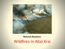 Презентация по теме Человек-дитя природы(пожары)