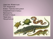 Презентация к уроку: внешнее строение птиц