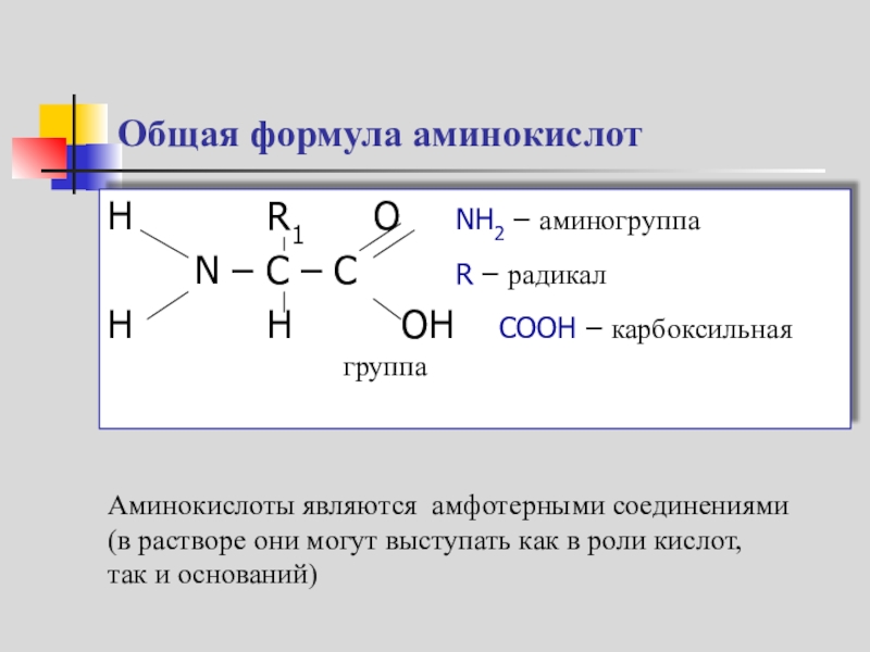 Аминокислоты аминогруппа карбоксильная группа. Формула аминокислот общая формула. Общая формула аминокислот. Белок аминокислоты аминогруппа карбоксильная группа схема. Общая структурная формула аминокислоты.