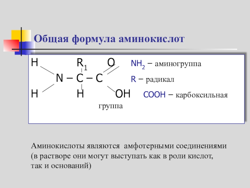 Класс аминокислот формула. Формула аминокислот общая формула. Общая формула аминокислот. Белок аминокислоты аминогруппа карбоксильная группа схема. Общая структурная формула аминокислоты.