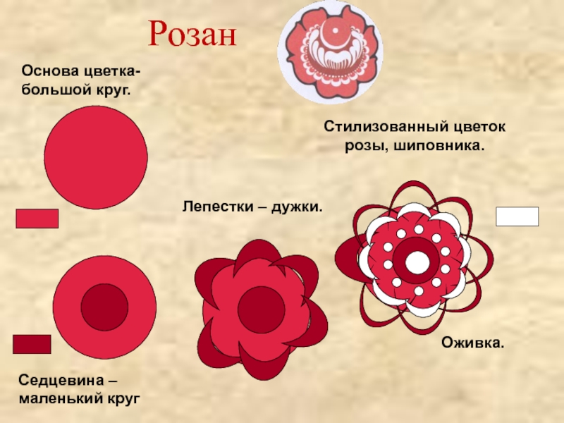 Основа цветка. Что такое оживка в изобразительном.