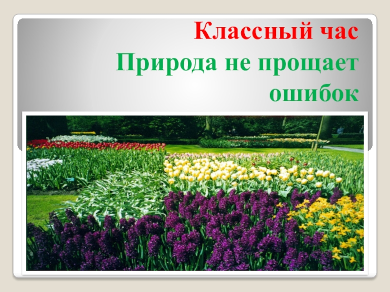 Классный час Природа не прощает ошибок - презентация