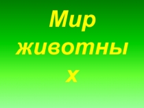 Презентация по Окружающему миру на тему Мир животных