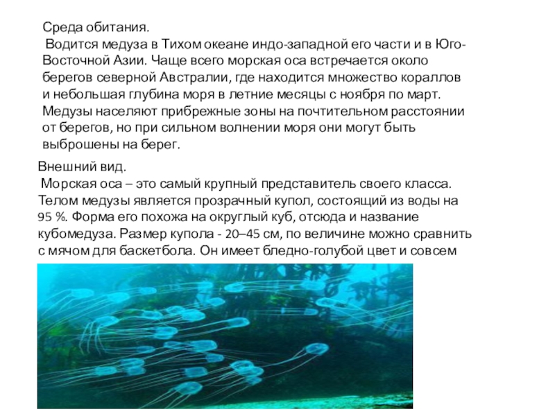 Описание сред. Медуза глубина обитания. Медуза водная среда обитания. Приспособления медузы к водной среде. Медуза адаптация к среде обитания.