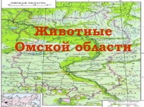 Животные Омской области. Игра.