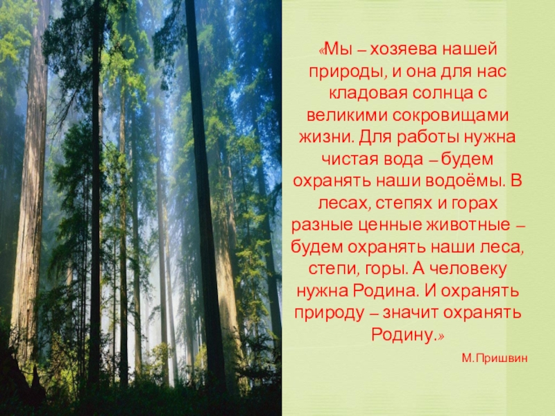 Природные условия сообщества лес. Природное сообщество лес. Природа леса презентация. Лес кладовая природы презентация. Лес это кладовая чего.