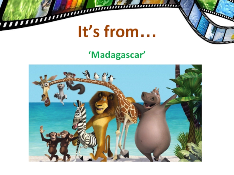 ‘Madagascar’It’s from…