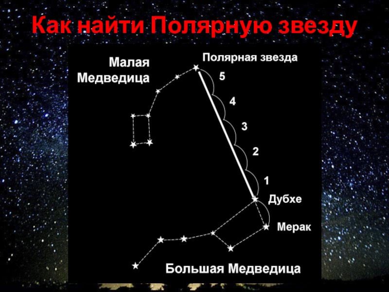 Применение северной звезды. Большая Медведица малая Медведица и Полярная звезда. Как найти полярную звезду на небе. Большая и малая Медведица на небе с полярной звездой. Как от ковша найти полярную звезду.