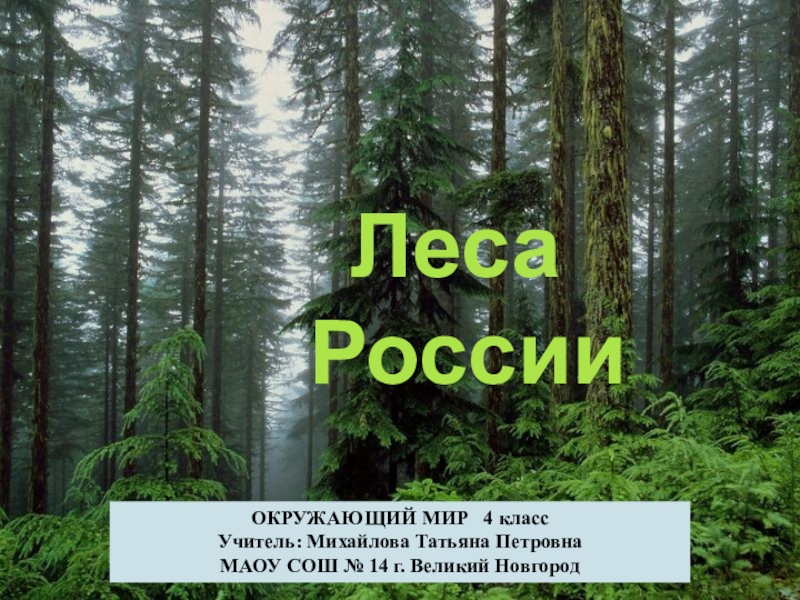 Никифорова презентация леса россии 4 класс школа россии окружающий мир плешаков