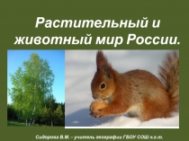 Презентация по географии на тему