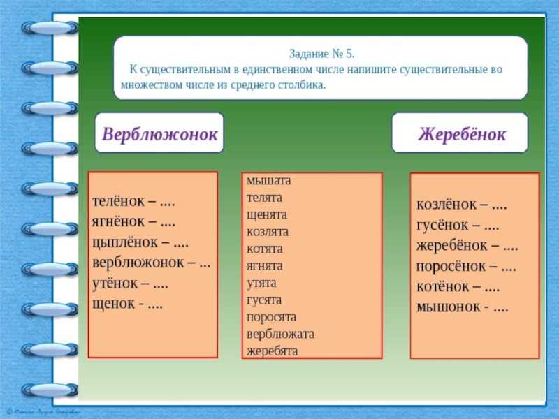 Презентация существительные множественного числа. Число имен существительных задания. Число существительных задания. Число имен сущ задание. Число имён существительных 5 класс.