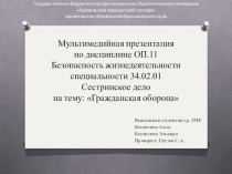 Презентация по БЖД на тему Гражданская оборона