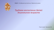 Трудовое воспитание детей дошкольного возраста