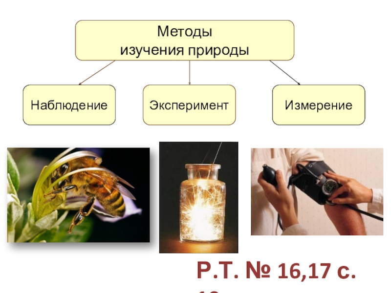 Наблюдение эксперимент измерения. Методы изучения природы. Способымзучения природы. Способы изученияпиироды. Способыизучени природы.